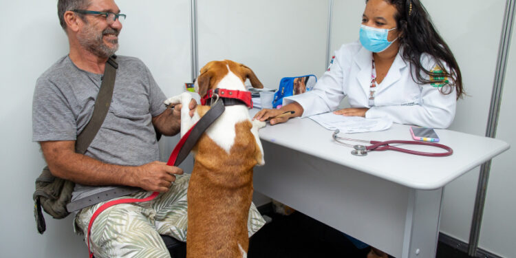 Maceió encerra campanha de vacinação antirrábica com 75 mil animais imunizados