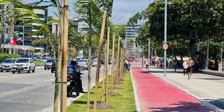 Prefeitura de Maceió realiza plantio de Palmeiras na Ponta Verde
