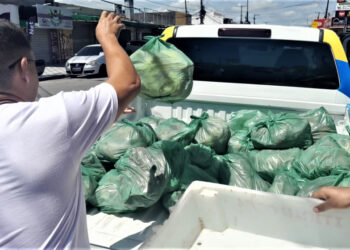 Vigilância Sanitária de Maceió apreende 380 kg de alimentos estragados em supermercado no Jacintinho