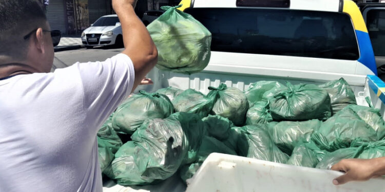 Vigilância Sanitária de Maceió apreende 380 kg de alimentos estragados em supermercado no Jacintinho