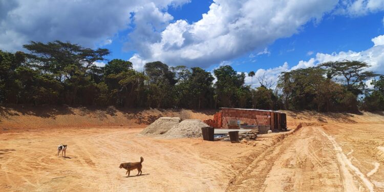 IMA autua construtora por crime ambiental e embarga obra em área de Mata Atlântica, em Rio Largo
