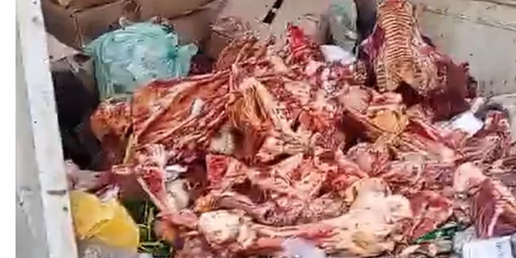 Condições precárias e de imundície no Mercado Público de Palmeira geram alerta de Saúde Pública