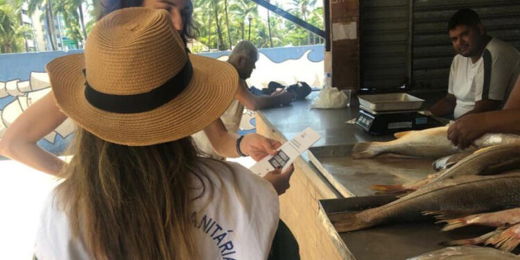 Visa Maceió intensifica orientações sobre compra de pescados