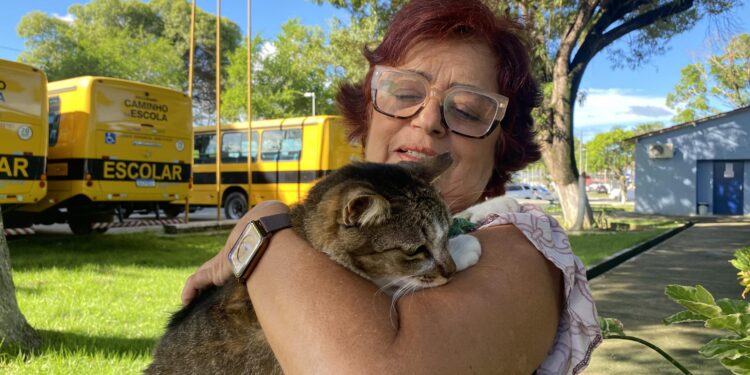 Defesa Civil atendeu 66 ocorrências em Maceió