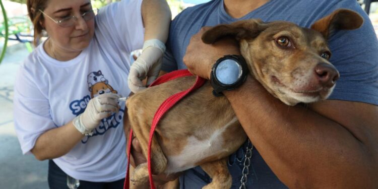 Alagoas firma acordo estratégico com empresa estatal do Governo Federal para impulsionar regularização fundiária