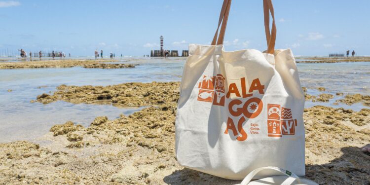 Ronaldo Lessa inaugura posto do Instituto de Identificação em Maribondo