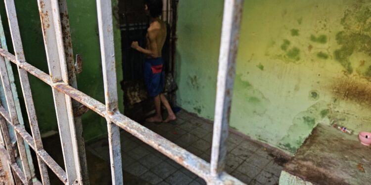 Hospital de Emergência do Agreste realiza primeira captação de órgão para transplante