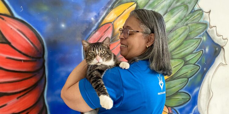 Secretaria da Cidadania está selecionando organizações e protetores de animais domésticos para campanha de adoção responsável
