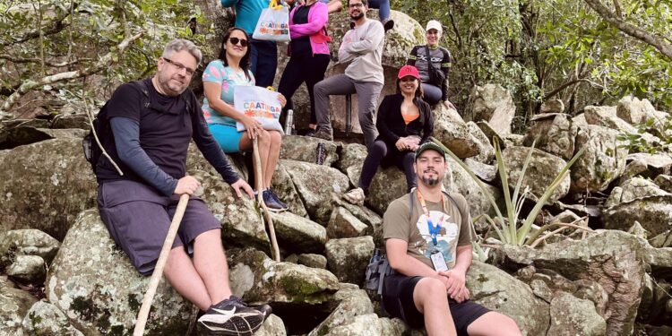 Game Over: operação apreende bens de influenciadores envolvidos no jogo do Tigrinho