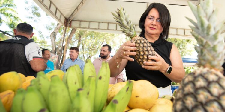 Seduc comemora recorde de propostas recebidas na Chamada Pública da Agricultura Familiar