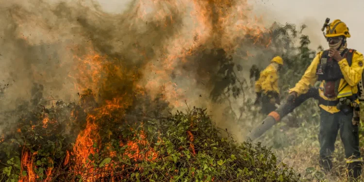 Fogo já consumiu 1,3 milhão de hectares e volta a aumentar no Pantanal