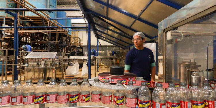 Geração de emprego em Alagoas avança mais de 69% e soma 5,1 mil vagas em agosto, aponta Caged