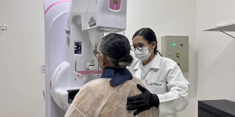 Feira sustentável especial do Dia das Crianças acontece neste domingo (13)