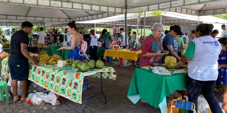 Feira sustentável especial do Dia das Crianças acontece neste domingo (13)
