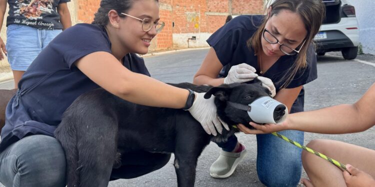 Lei estadual que garante proteção e o bem-estar dos animais já está em vigor