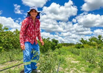 Projetos da Seagri promovem desenvolvimento rural e transformação social no sertão alagoano