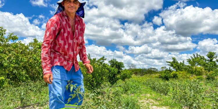 Projetos da Seagri promovem desenvolvimento rural e transformação social no sertão alagoano