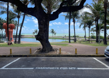 Idosas do Cras Área Lagunar celebram Carnaval com muita alegria e diversão