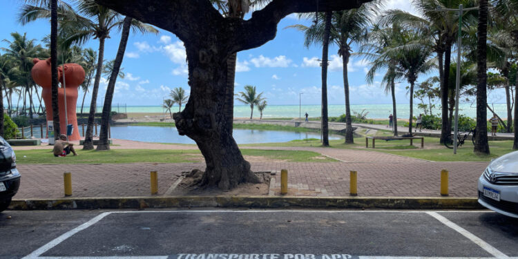 Idosas do Cras Área Lagunar celebram Carnaval com muita alegria e diversão