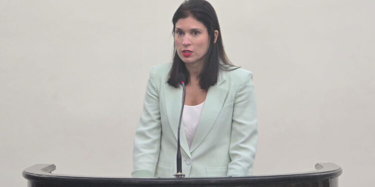 Utilização de câmeras corporais por policiais é tema de debate