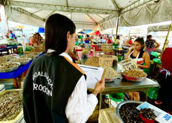 Procon Maceió divulga pesquisas de preços de itens da Páscoa