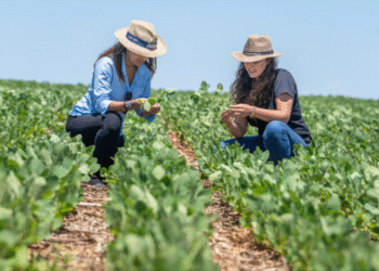 Aprovado em 1º turno projeto que institui o Dia da Mulher do Agro