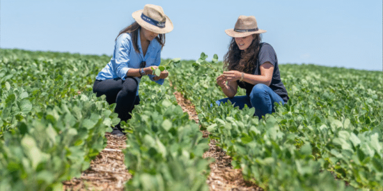 Aprovado em 1º turno projeto que institui o Dia da Mulher do Agro