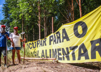Em Jornada Nacional, MST enfatiza a Reforma Agrária como solução para alimentar o Brasil