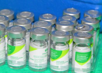 Campanha de Vacinação contra a Influenza tem o público ampliado em Alagoas