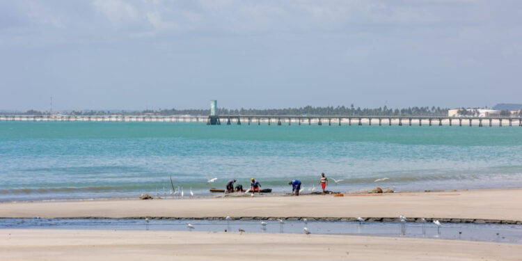 Renasce Salgadinho combate poluição e melhora balneabilidade das praias