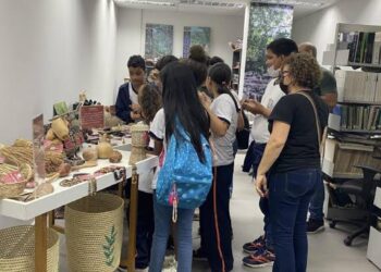 IMA oferece oficina gratuita sobre práticas de herbário