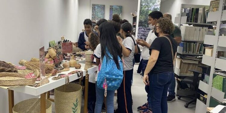 IMA oferece oficina gratuita sobre práticas de herbário