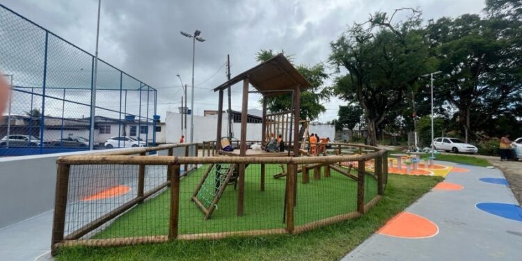 Brota na Grota transforma terreno abandonado em espaço vivo e acolhedor para moradores do Conjunto Novo Jardim