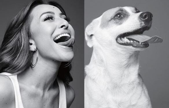 Dia do Vira-Lata reacende debate sobre abandono animal