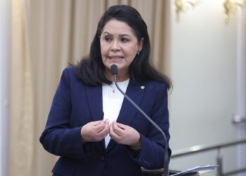 Rose Davino propõe protolo para atendimentos terapêuticos público e privado