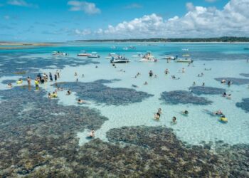 Turistas nacionais deixam mais dinheiro em AL do que em qualquer outro estado, aponta IBGE