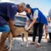 Prefeitura de Maceió vacina mais de 90 mil animais durante campanha antirrábica 2025