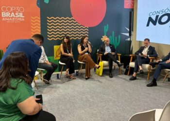 Projetos com participação do Instituto do Meio Ambiente são destaques na COP 30