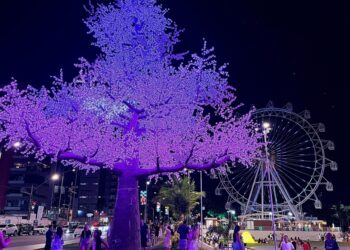 Iluminação de Natal no Parque Massay-ó-k encanta maceioenses e turistas
