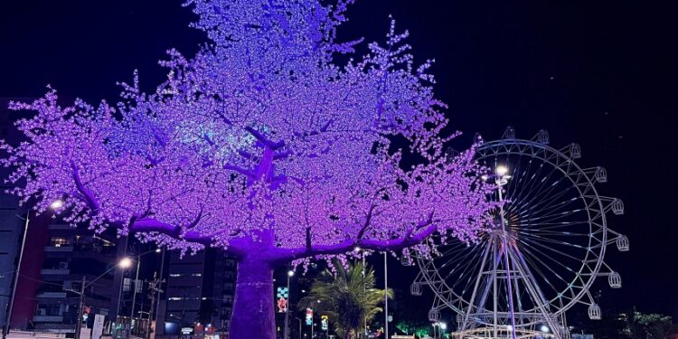 Iluminação de Natal no Parque Massay-ó-k encanta maceioenses e turistas