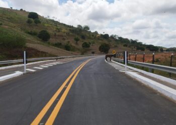 Governo de Alagoas inaugura alça viária em Joaquim Gomes