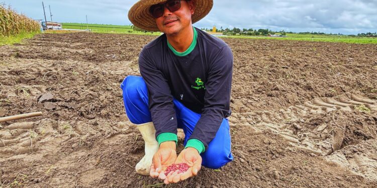 Inscrições para o Garantia-Safra 2025-2026 vão até 20 de fevereiro