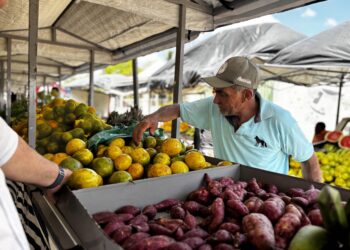 Rota do Circuito Regional de Feiras da Agricultura Familiar vai destacar potencial produtivo e turístico