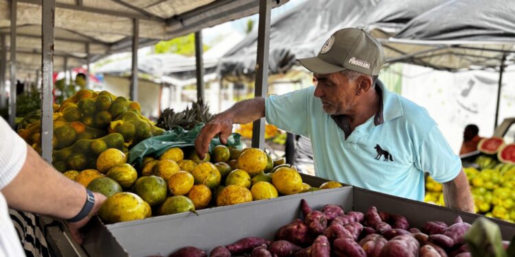 Rota do Circuito Regional de Feiras da Agricultura Familiar vai destacar potencial produtivo e turístico