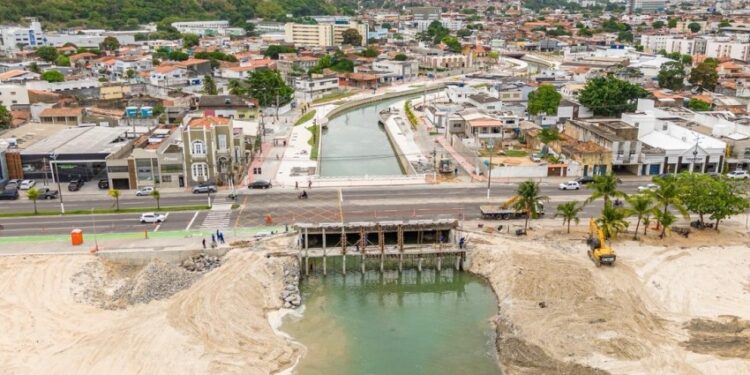 Arborização avança e marca reta final do Renasce Salgadinho, maior obra ambiental de Maceió