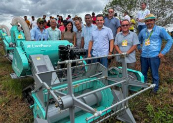 Produção de Arroz tem perspectivas positivas no Baixo São Francisco alagoano