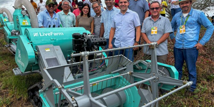 Produção de Arroz tem perspectivas positivas no Baixo São Francisco alagoano