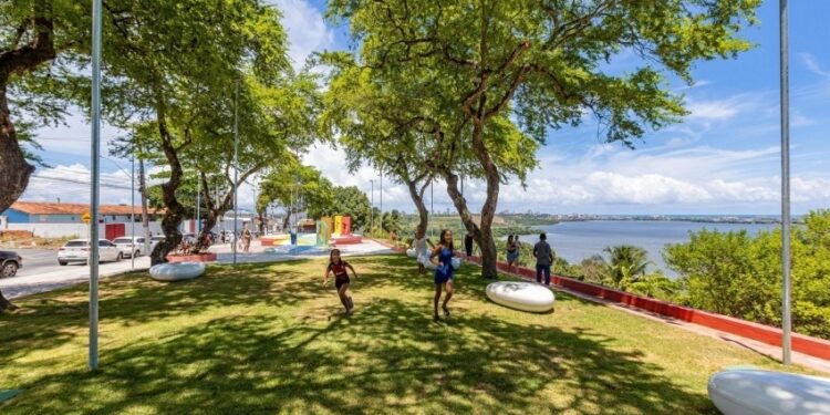 Maceió está entre as 51 cidades do Brasil com certificação “Cidades Árvores do Mundo”