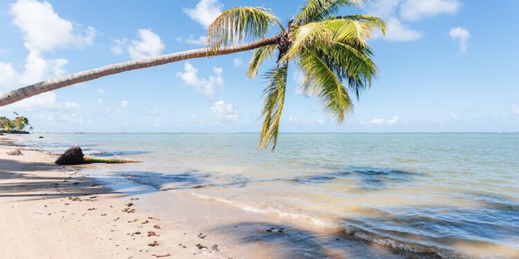 O Melhor do Turismo Brasileiro: Alagoas é finalista em prêmio do jornal Estadão