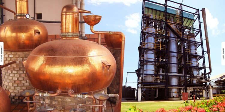 Manifesto da Cachaça alerta para distorções no Imposto Seletivo